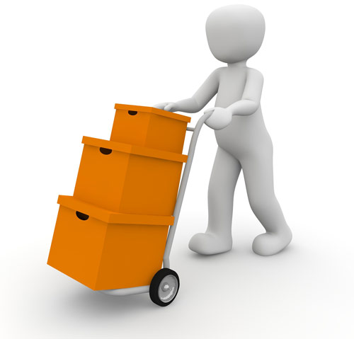 Removal Team